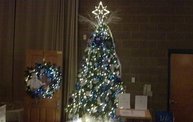 Festival of Trees 2011 14