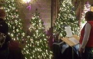 Festival of Trees 2011 13