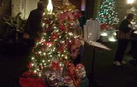 Festival of Trees 2011 10