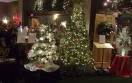 Festival of Trees 2011 8