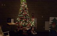 Festival of Trees 2011 4