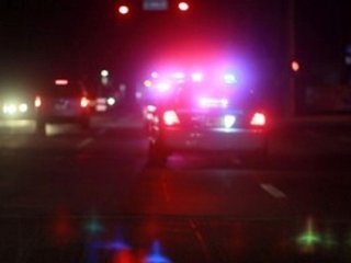 Police lights (properly sized)