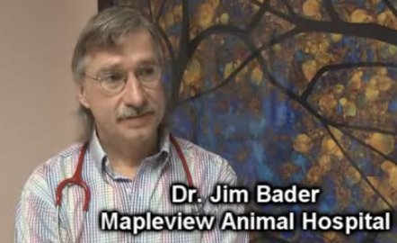 Dr. Jim Bader of Mapleview Animal Hospital answers your pet questions on whtc.com and 927thevan.com. Dr. Jim Bader of Mapleview Animal Hospital answers your pet questions on whtc.com and 927thevan.com.