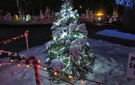 Marshfield Winterwonderland 2011 6