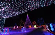 Marshfield Winterwonderland 2011 5