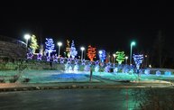 Angels Among Us 2011 1