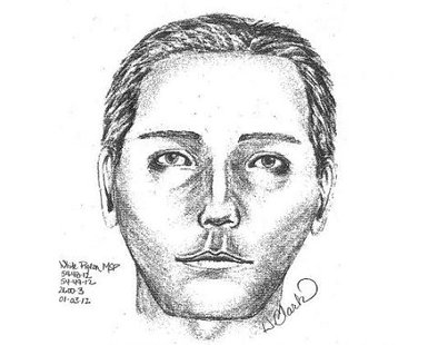 Michigan state police sketch of New Year's Eve police impersonator.