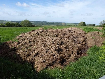 Manure Manure