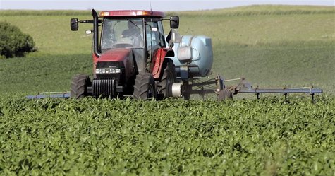 A farmer sprays his cornfield in Iowa A farmer sprays his cornfield in Iowa