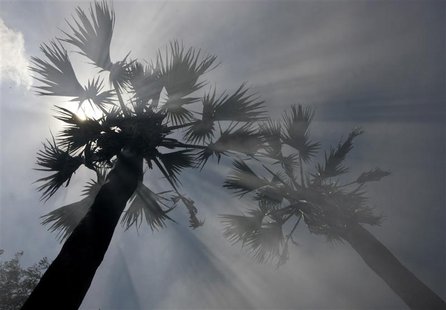 Smoke rises from burning grass at a village near Bangkok Smoke rises from burning grass at a village near Bangkok