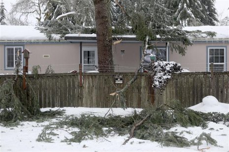 Branches, heavy from snow, lay on a house after falling off in Rochester, Washington Branches, heavy from snow, lay on a house after falling off in Rochester, Washington