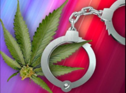 Marijuana investigation graphic Marijuana investigation graphic
