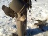 A mailbox destroyed by a bomb is seen in the Winnebago County Town of Black Wolf, Jan. 27, 2012. (courtesy of FOX 11).
