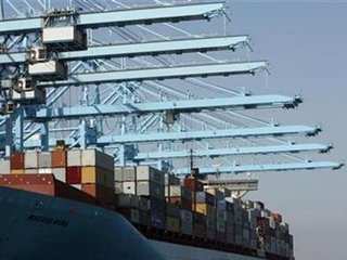 A container ship is docked at the port of Los Angeles July 2, 2008. REUTERS/Mario Anzuoni