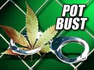Pot Bust (graphic)