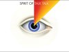 Image courtesy of SpiritOfTalkTalk.com (via ABC News Radio)