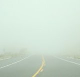 Thick Fog Thick Fog
