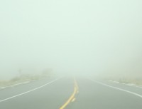 Thick Fog Thick Fog
