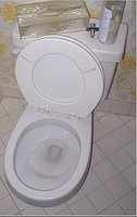 Toilet (courtesy of Wikipedia)