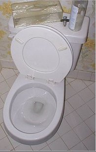 Toilet (courtesy of Wikipedia) Toilet (courtesy of Wikipedia)