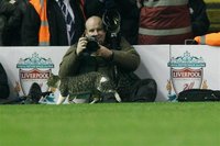 A cat walks on the pitch during the English Premier League soccer match between Liverpool and Tottenham Hotspur at Anfield in Liverpool