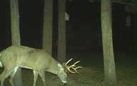 Trail Cam 9