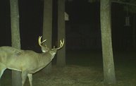Trail Cam 8