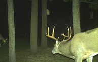 Trail Cam 10