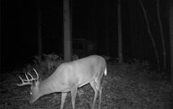 Trail Cam 5