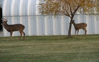 Trail Cam 26