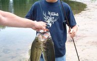 Bass