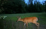 Trail Cam 28