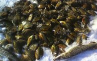 Ice Fishing Success "Stories": Cover Image