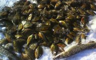 Ice Fishing Success "Stories": Cover Image