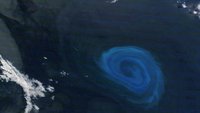 Agulhas eddy. 
Image courtesy: NASA
