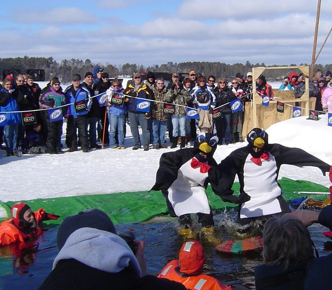 Like Ducks to Water...or Penguins!
