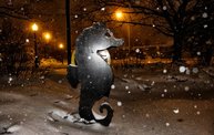 Dave's Snow Pictures 2