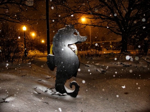 Dave Kallaway took this picture this morning (Feb 29, 2012) 5am in the parking lot of WIFC.