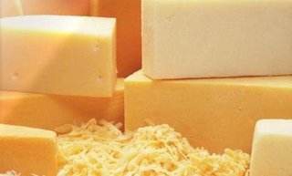 blocks of cheese