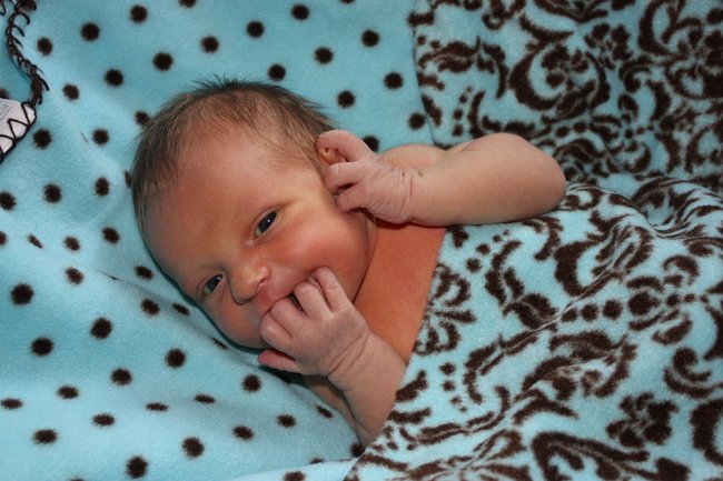 Archer Apollo Sanford