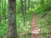 hiking trail