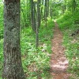hiking trail
