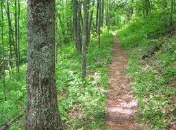 hiking trail