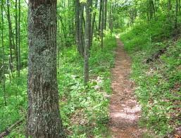 hiking trail hiking trail