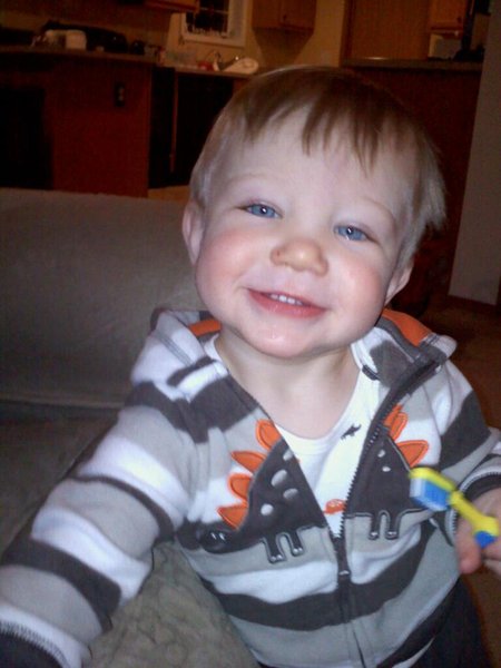 Gavin