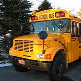 school bus school bus