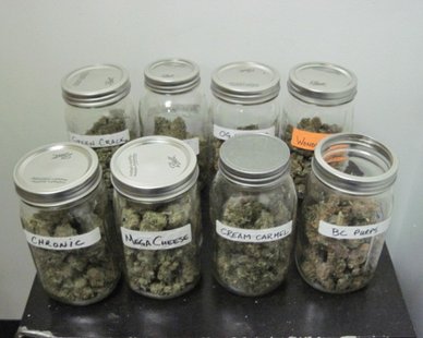 Evidence seized in a raid of a South Haven business on Apr. 5, 2012. (photo courtesy Van Buren Co. Sheriff's Dept.) Evidence seized in a raid of a South Haven business on Apr. 5, 2012. (photo courtesy Van Buren Co. Sheriff's Dept.)