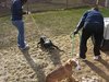 Animal Hoarding