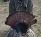 Trophy Bird: Cover Image