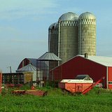 Farm graphic Farm graphic